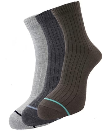 Dollar - Cotton Blend Multicolor Mens Full Length Socks ( Pack of 3 ) - Multicolor