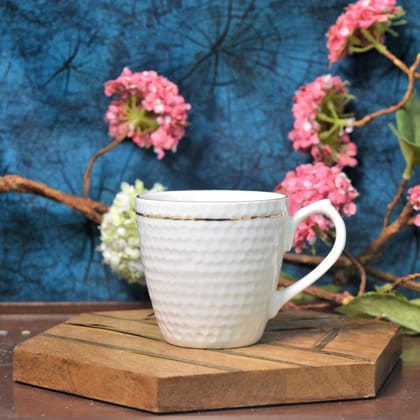 Oasis Jiya Coffee and Tea Mug | 160 ML | White | Set of 6 Pcs