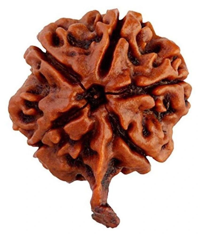 RUDRA DIVINE - Brown Pendant ( Pack of 1 ) - Brown