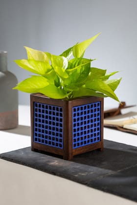 QUBO Placid Leafy Blue Handmade Wooden Indoor Planter Geometric Pattern Durable Plant Pot