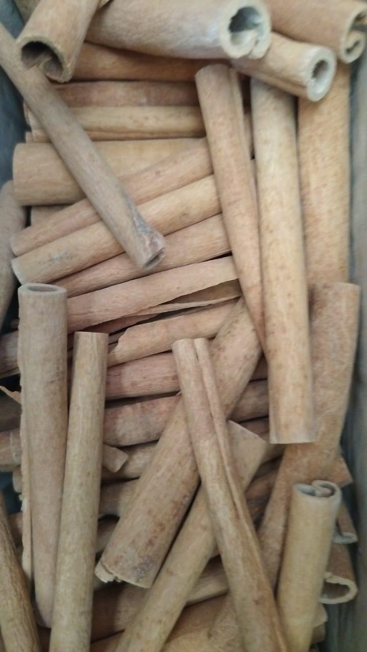 DALCHINI 20GM