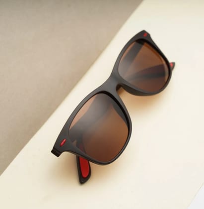 Luxomish Krypto Polarized Sunglasses Brown Frame Brown Lens