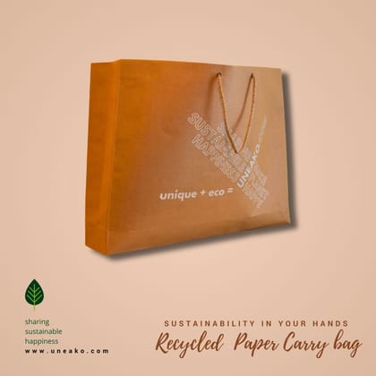 Recycled Paper Bag 10Pcs