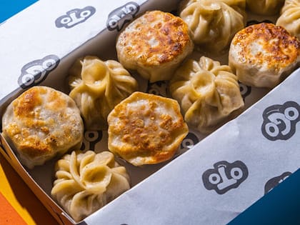 Chicken Pan Fried Momos