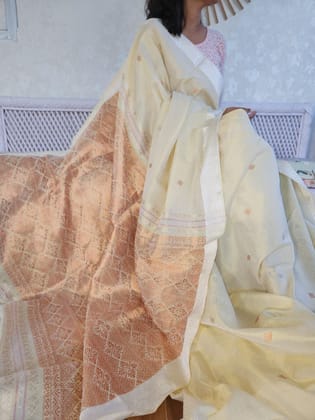 Mulberry Silk by Cotton Saree