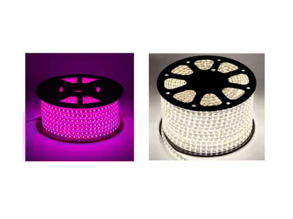 IMAGO 500 LEDs 5 m White, Pink Rice Lights (Pack of 2)