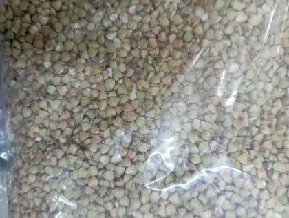 Kuttu gere