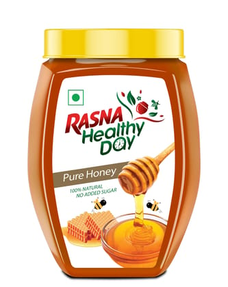 Rasna Healthy Day - Honey1 KG