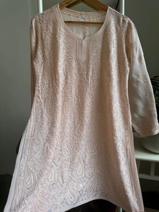 Chikankari Viscose Georgette short Top in Pale pink-Pink / Viscose Georgette / XL