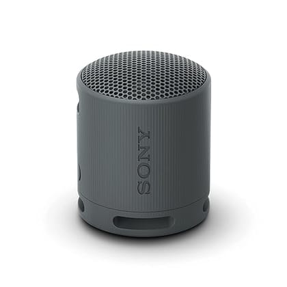 SONY SRS-XB100 2.5W Portable Bluetooth Speaker (IP67 Waterproof, DSP Technology, 1.0 Channel, Black)