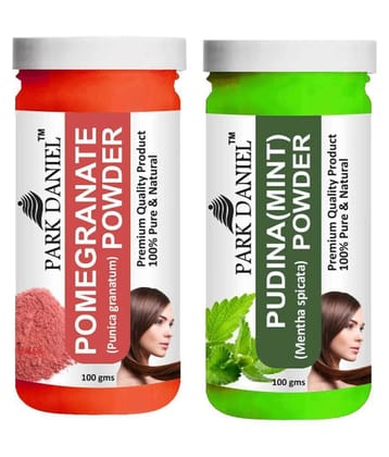Park Daniel  Pomegranate   & Pudina(Mint)  Powder Hair Mask 200 g Pack of 2