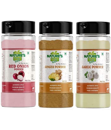 Natures Gift - 100 gm Ginger powder (Pack of 3)