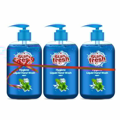 Stanfresh Hygiene Liquid Hand Wash Mint 500ml(Pack Of 3)