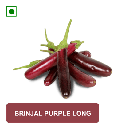 Brinjal Purple Long, 500 gm