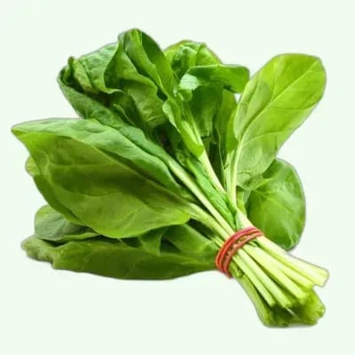 Spinach (Sorted Paalak Without Roots)
