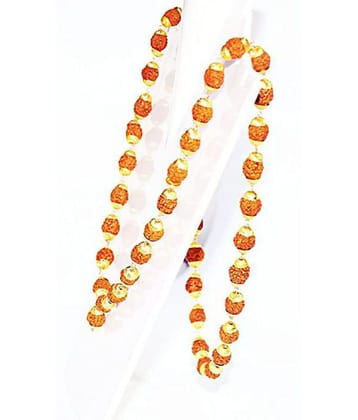 Rudraksha Golden cap mala with Real% mukhi Rudraksha And Free 3 + 4 + 5 Mukhi Nepal Rudraksha Bead - Brown