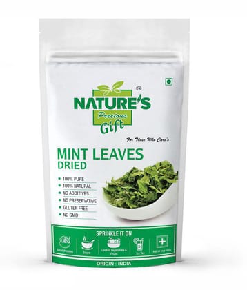 Nature''s Gift Mint Leaves Dried 400 gm
