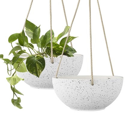 MY GROCER HANGING POT 8 INCH 1 N