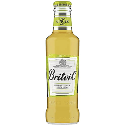 Britvic Spicy Ginger Ale Ginger Flavour Carbonated Water, 200 ml