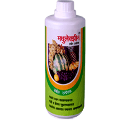 Madhulexin-1 LTR