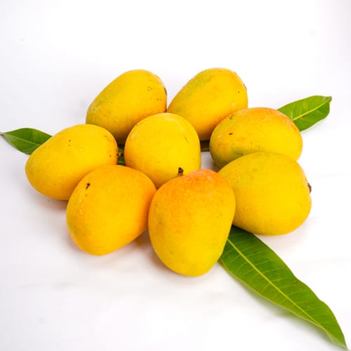 Alphonso mango 1 Box