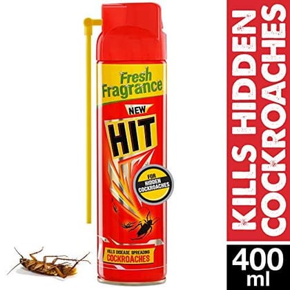 Hit Crawling Insect Killer, 400Ml