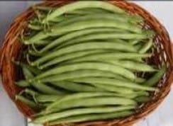 ARKA Komal-TFL - FRENCH BEAN (Bush Type)