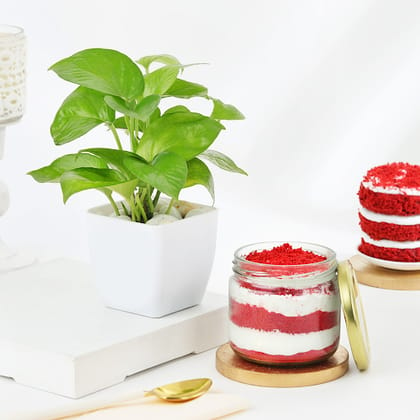 Red Velvet Jar Cake With Money Plant