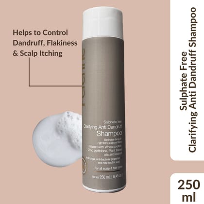 Perenne Sulphate-Free Clarifying Anti-Dandruff Shampoo | Controls Dandruff, Flakiness & Itchy Scalp | Zinc Pyrithione, Piroctone Olamine & Salicylic Acid | Paraben & Sulphate Free| All Hair Types