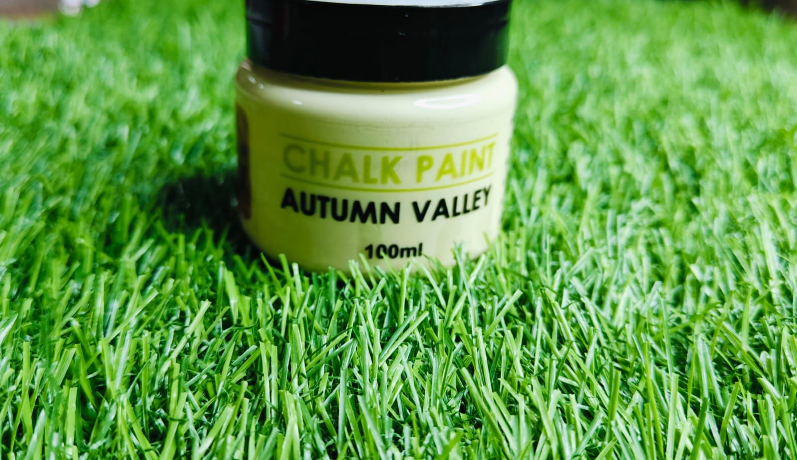 Chalk paint - Autumn Vault - 100ml
