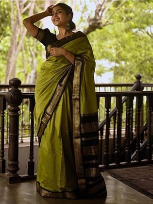 Ethnic Motifs Woven Design Zari Banarasi Saree