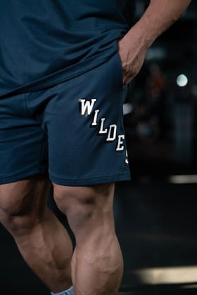 JOURNEY WILDES GUARDIAN SWEAT SHORTS (REGAL BLUE METALLIC)-S