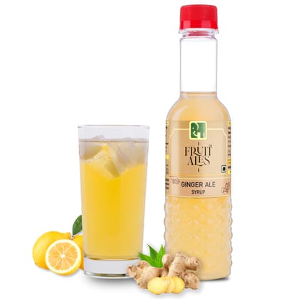 Fruitales Ginger Ale Syrup 300 ml