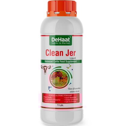 CLEAN JER