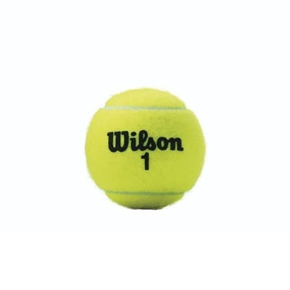 WINSON TENNIS BALL