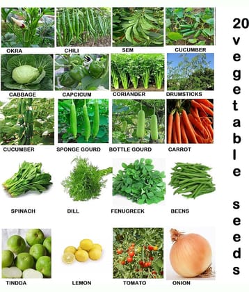 CLASSIC GREEN EARTH - Vegetable Seeds ( 20 VEGETABLE COMBO 2000 SEEDS )