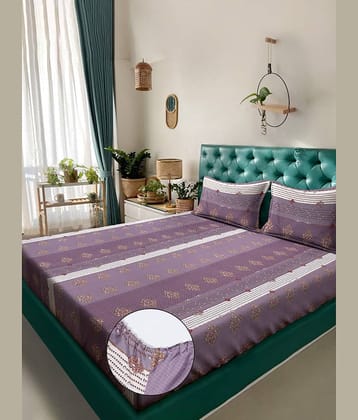 Klotthe Poly Cotton 1 Double Fitted Bedsheet with 2 Pillow Covers ( 250 cm x 225 cm ) , Purple