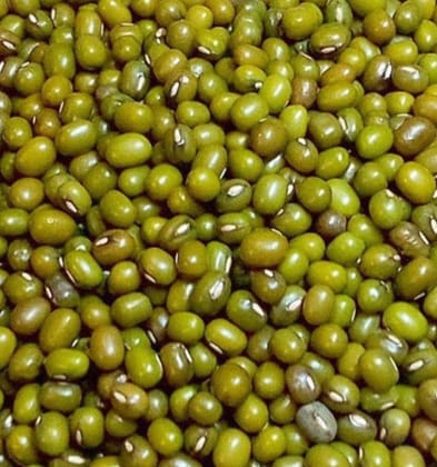 Nf urad green dal sabul 500G