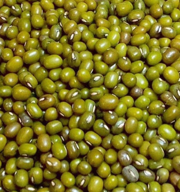 Nf urad green dal sabul 500G