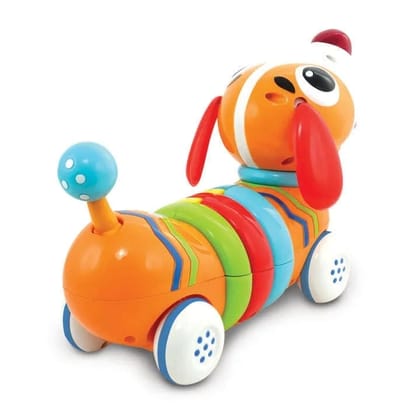 Winfun R/C Rainbow Pup