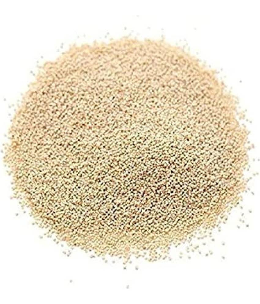 MYGODGIFT Poppy Seed Gold / Khus Khus/White Poppy Seeds / Poppy Seeds for Eating 100 gm