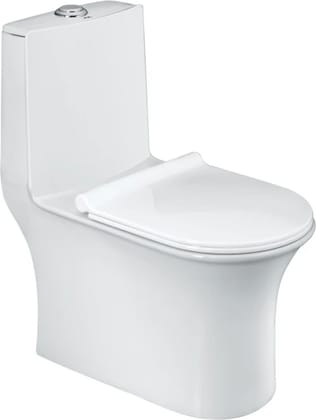 RUZA EWC with Soft Close Seat Cover & Flushing Kit