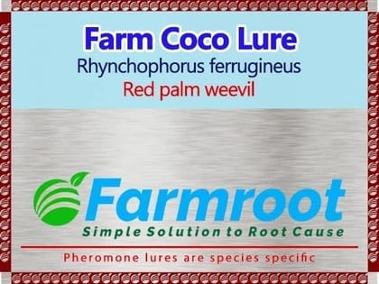 Farmroot RED Palm Weevil Lure 5 and Bucket Trap Combo (Pack of 5)