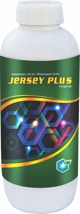 JERSEY PLUS