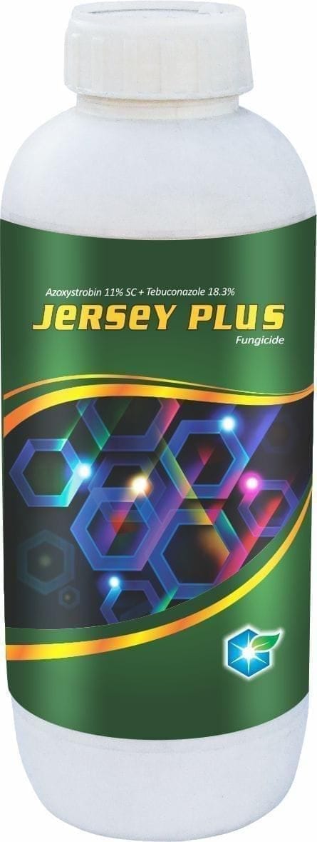 JERSEY PLUS