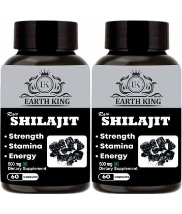 EARTH KING Raw Shilajit/Shilajeet Extract Capsule - 500mg 120 Capsules (Pack of 2)