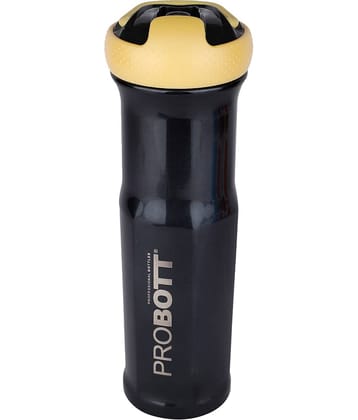 Probott Status 700ml Beige Stainless Steel Water Bottle 700 mL ( Set of 1 )
