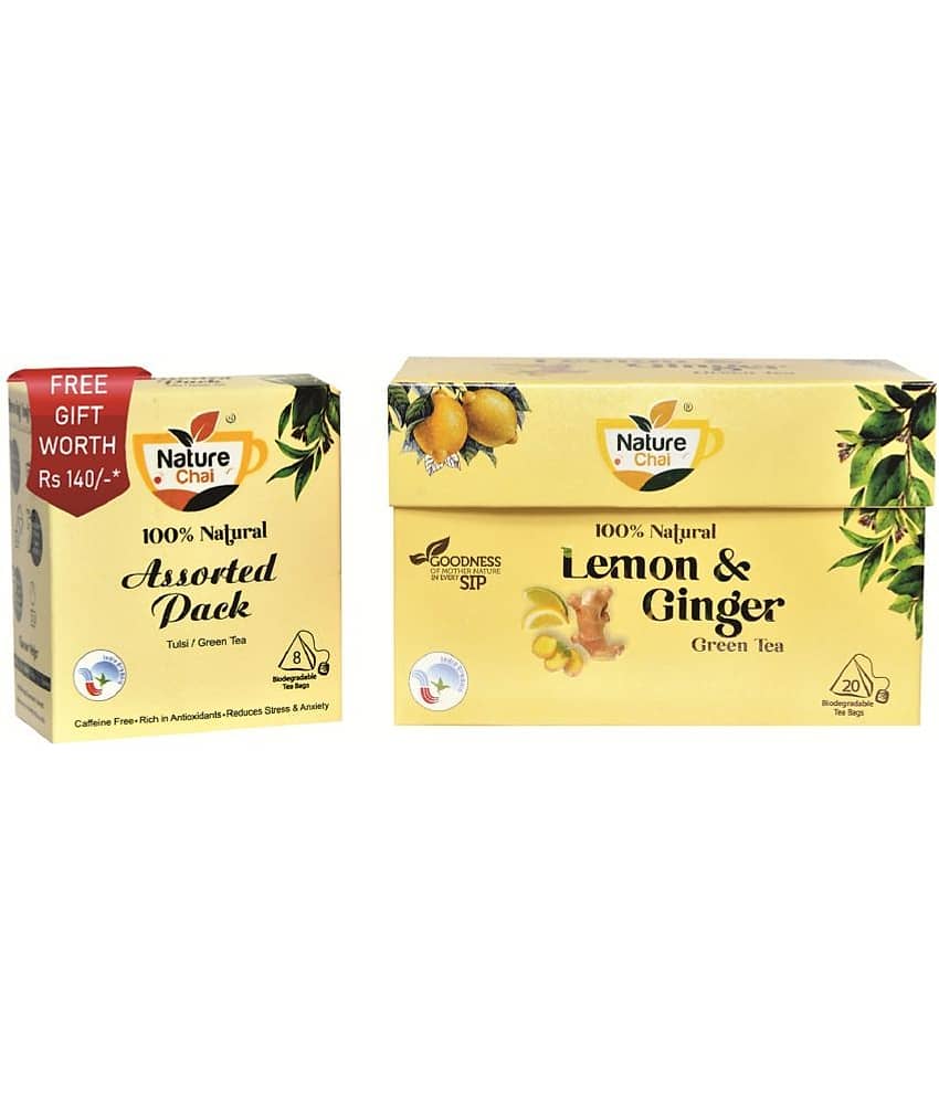 NATURE CHAI Ginger Tea Bags 20 no.s