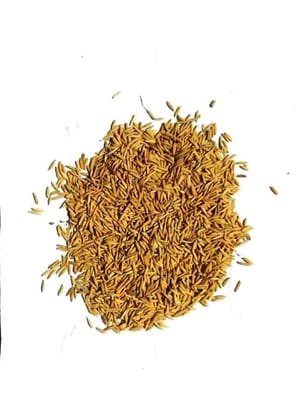 Paddy - 1 kg