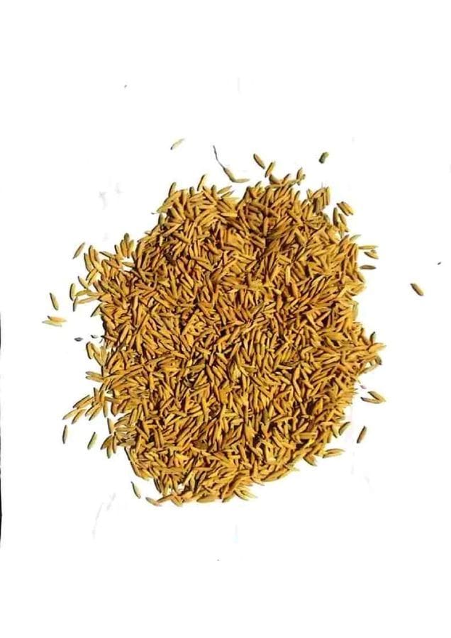 Paddy - 1 kg